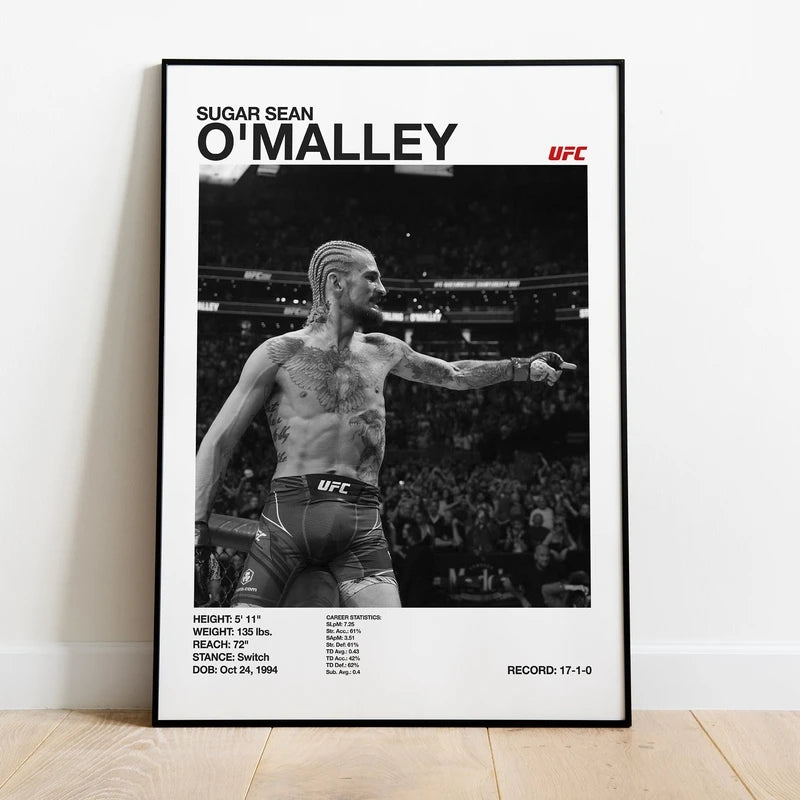 Black and white UFC Poster Canvas Wall Decor Gym Room